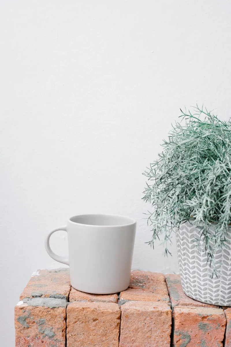 White ceramic mug on a brick ledge, used as an example product